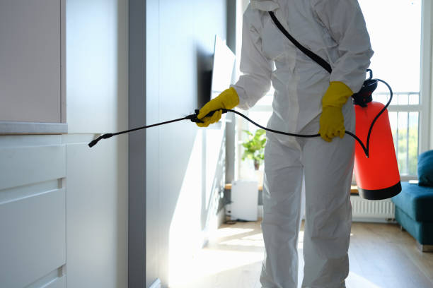 Best Mold Removal Near Me  in Marine City, MI